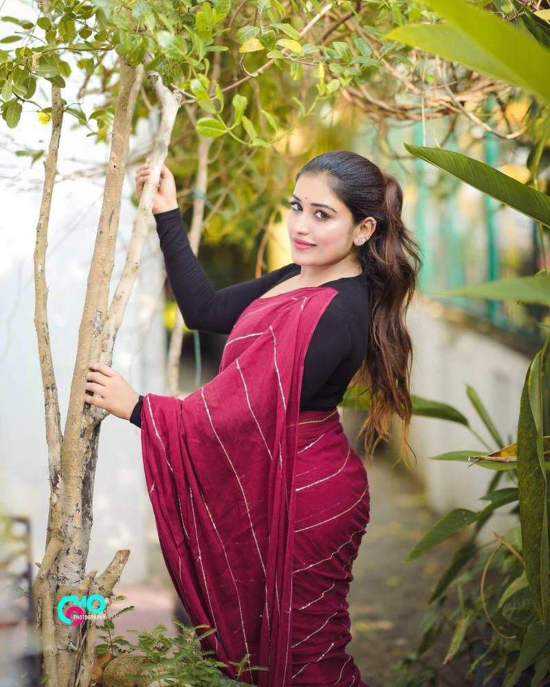 anumol-looking-glamorous-in-saree